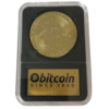 Bitcoin Grading Case